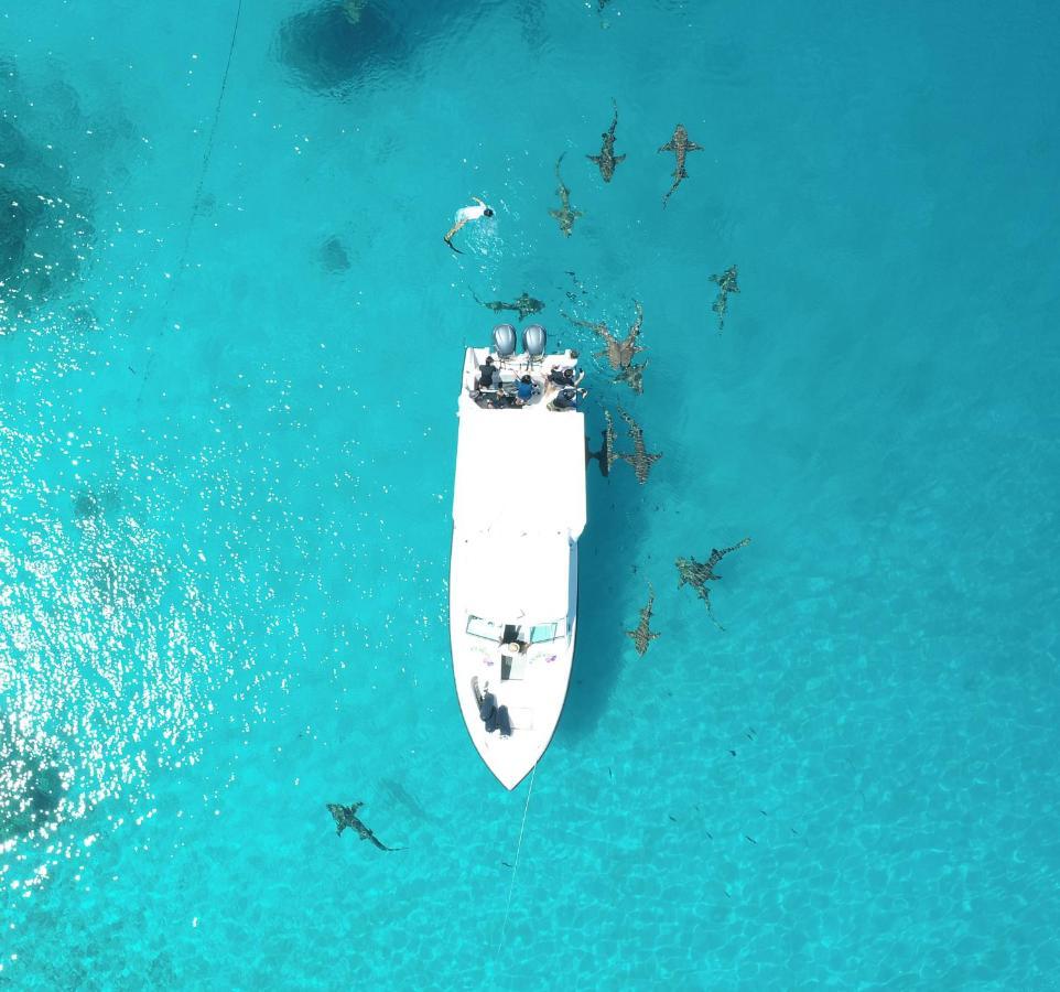 Ecoboo Maldives Thinadhoo (Vaavu Atoll) Exterior foto
